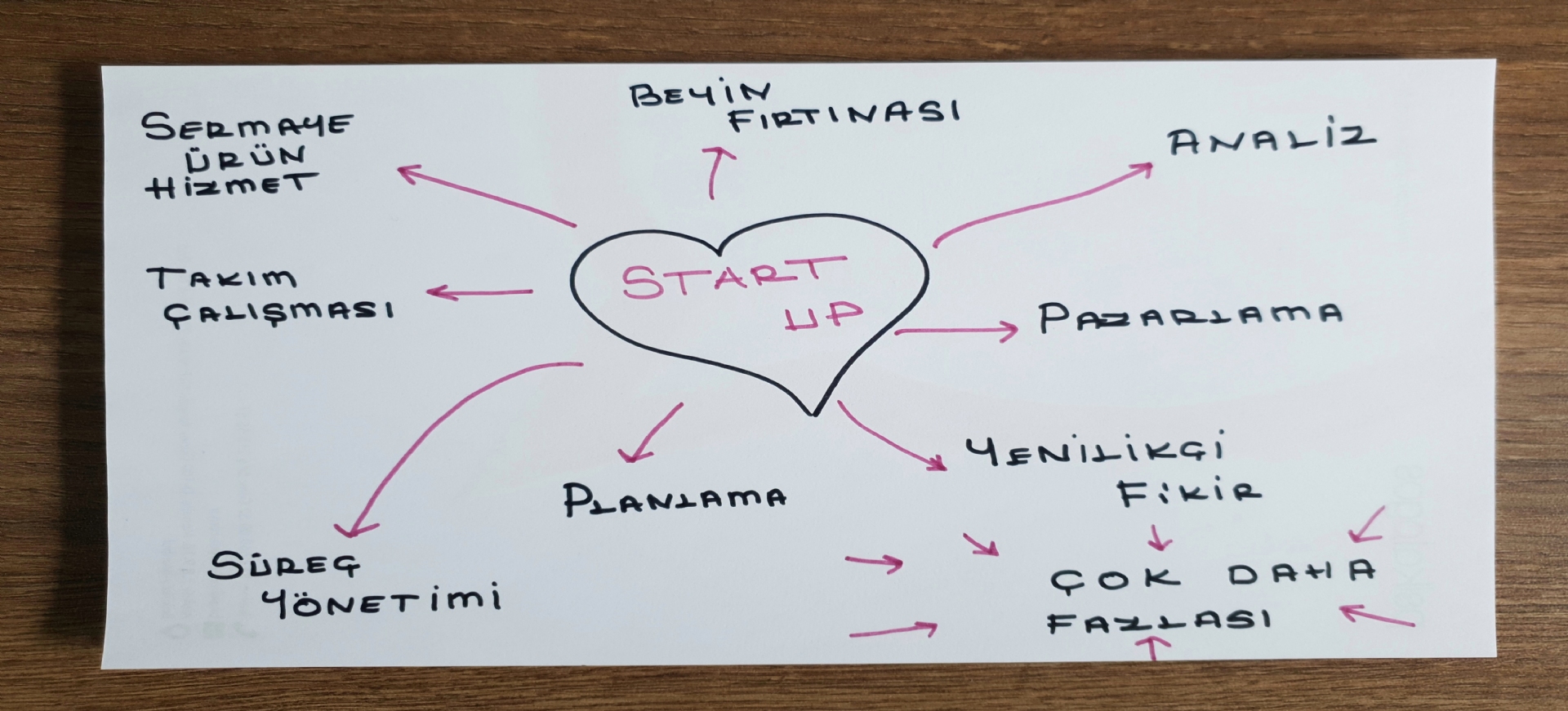 Start-Up Dan��manl���